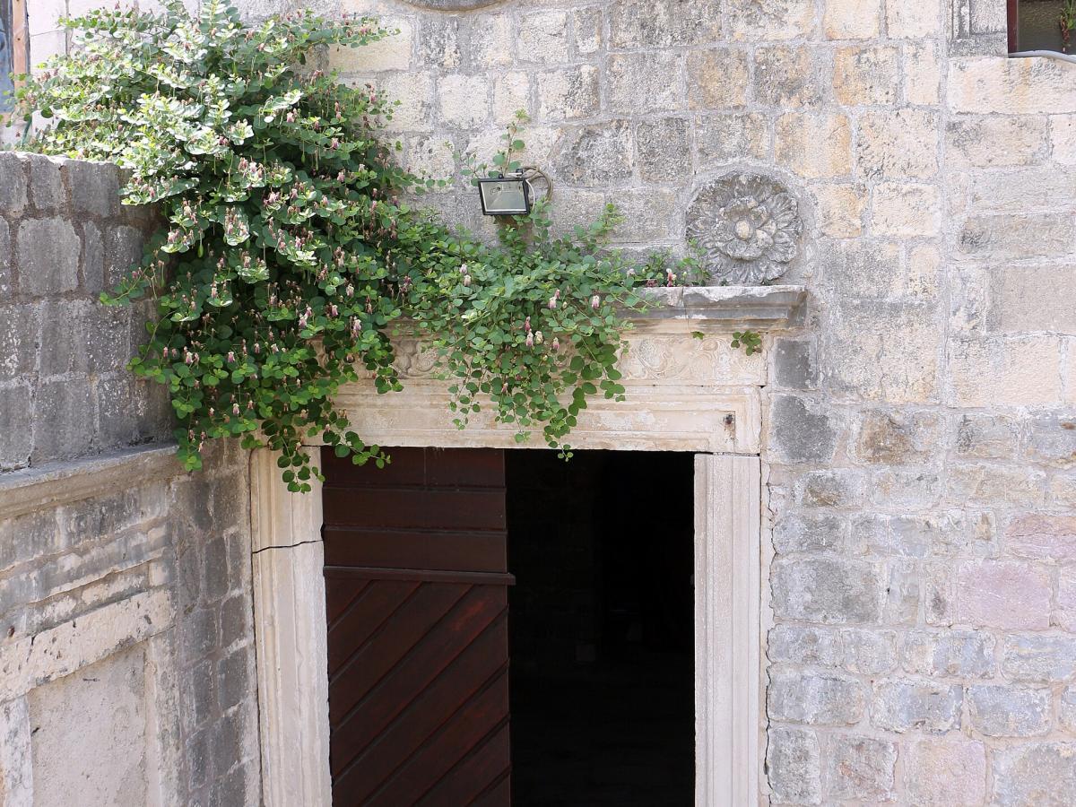 Cerkev Santa Maria in Punta — 3